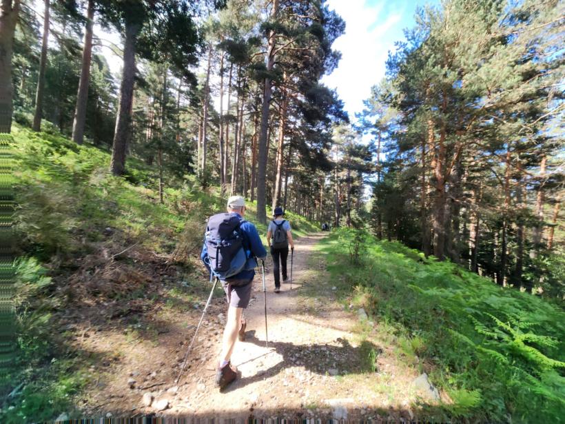 Navacerrada