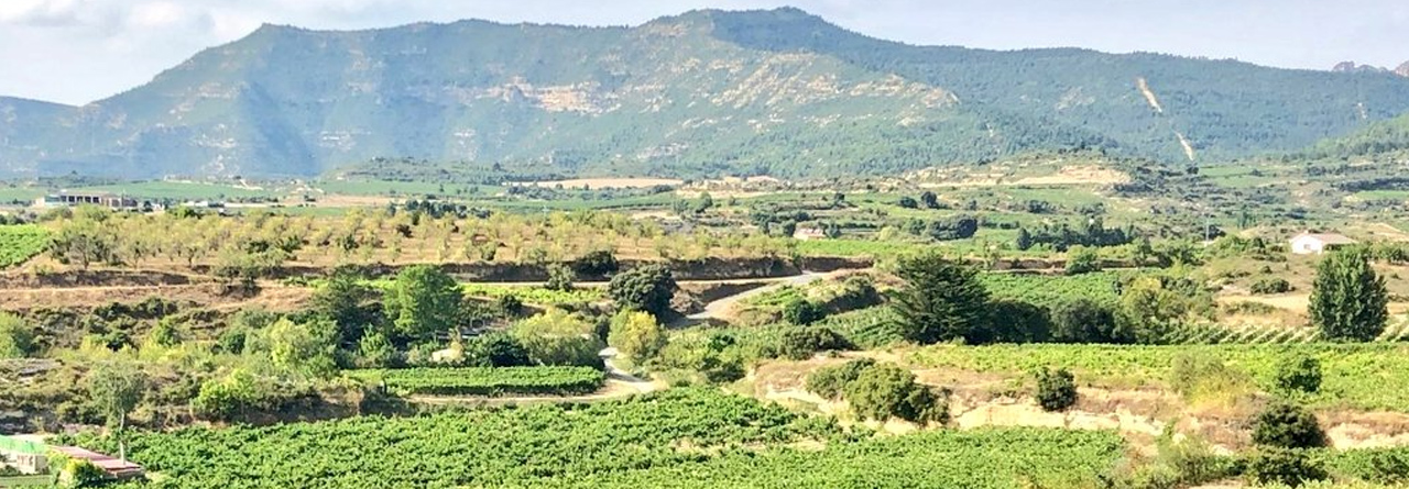 Cata de vinos Sierra Cantabria