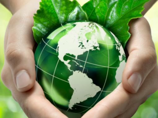 Día Mundial del Reciclaje en el Chalet Infantil