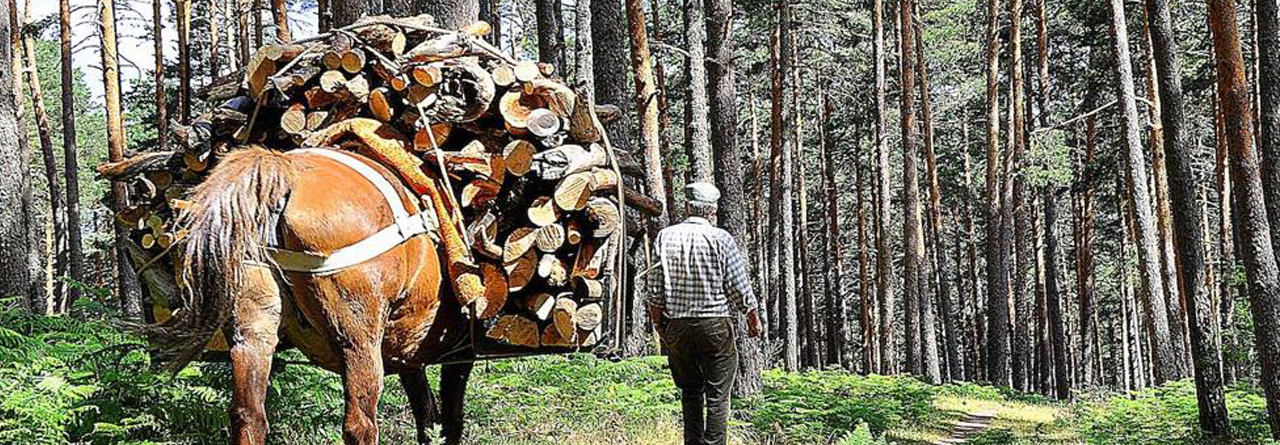 El Espinar y fiesta de los Gabarreros