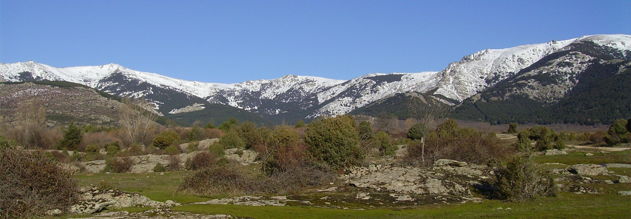 RACE Aire Libre: La Hoya de San Blas