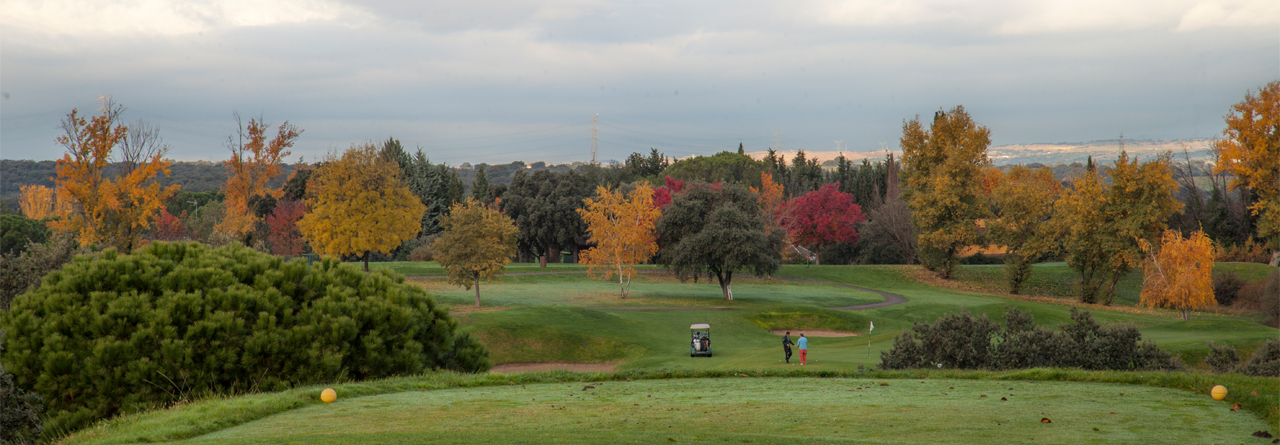 CAMPO-GOLF-RACE