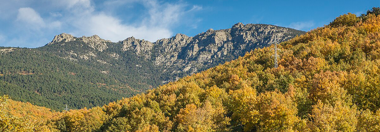 RACE Aire Libre: Siete Picos o Sierra del Dragón