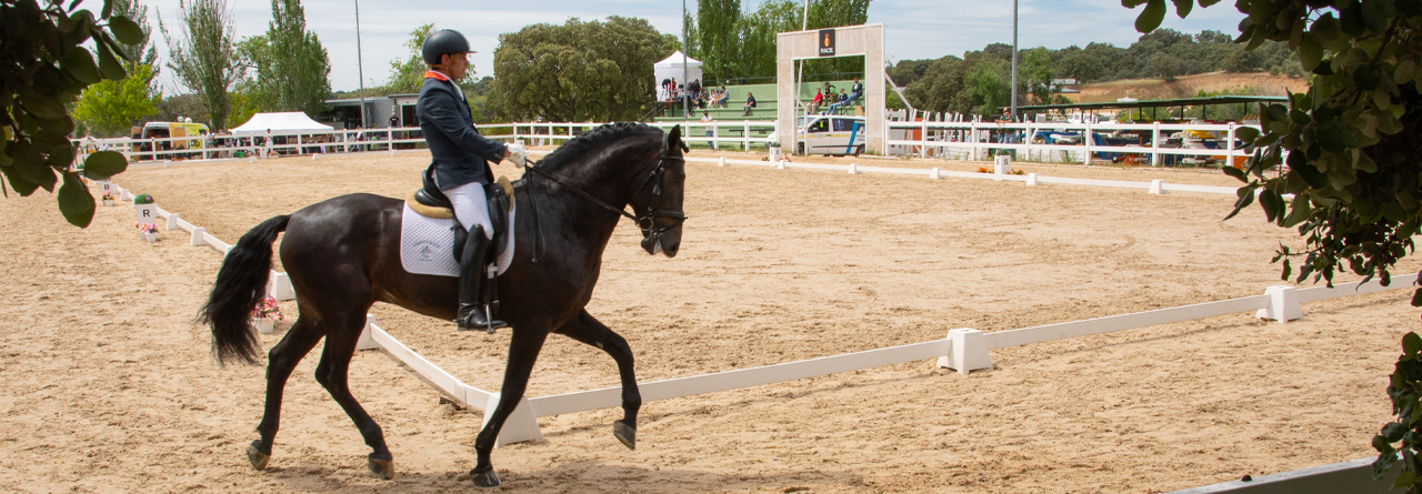 27 La doma clásica nacional y Copa ANCEE, protagonistas de la competición en el Centro Hípico del RACE - 2