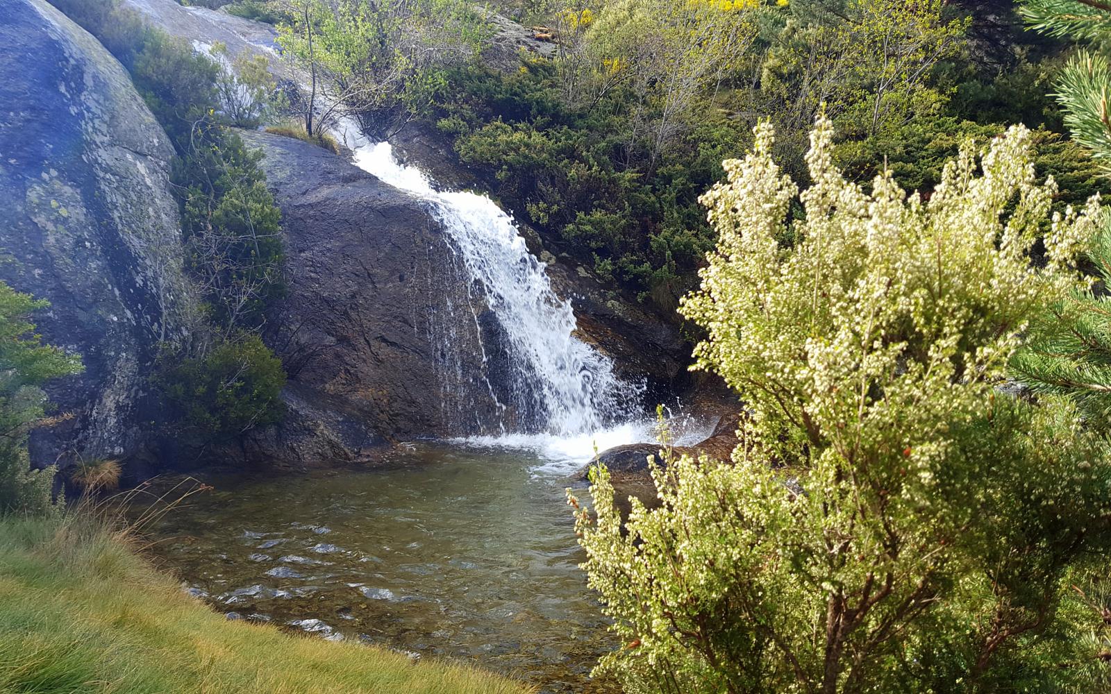 RACE Aire Libre: Ruta de las cascadas de La Granja