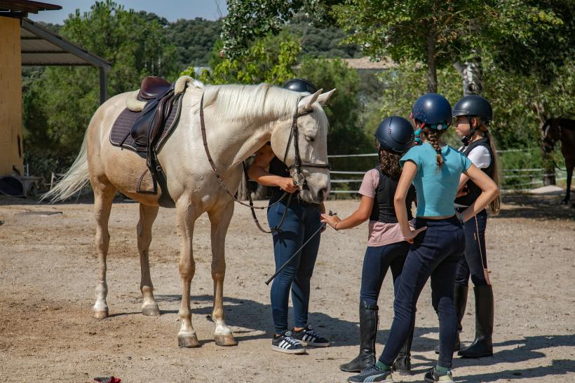 2026_RACE_COMPLEJO_CAMPAMENTOS_1T6A3585