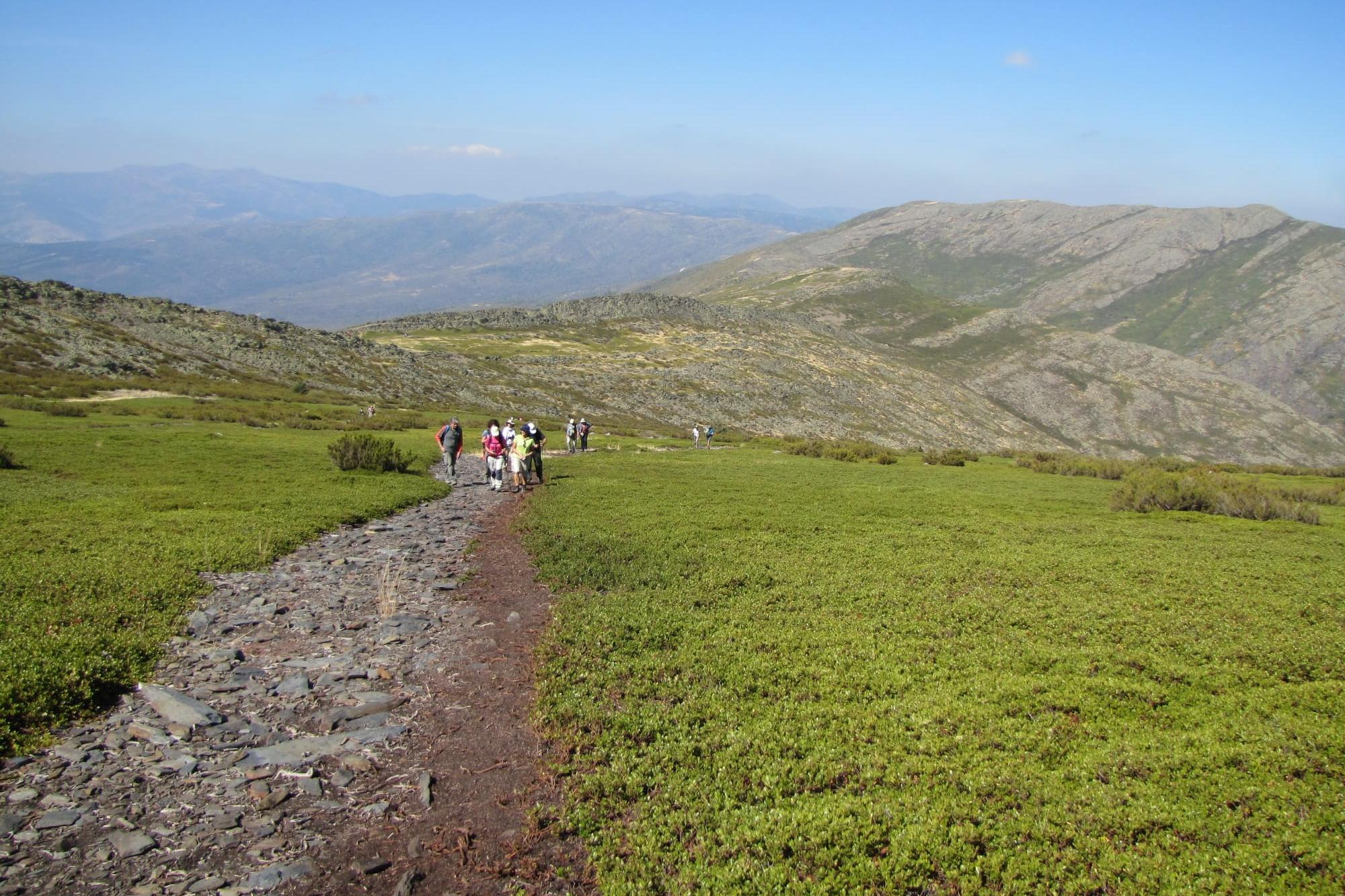 Visita cultural: Museo Nacional del Prado