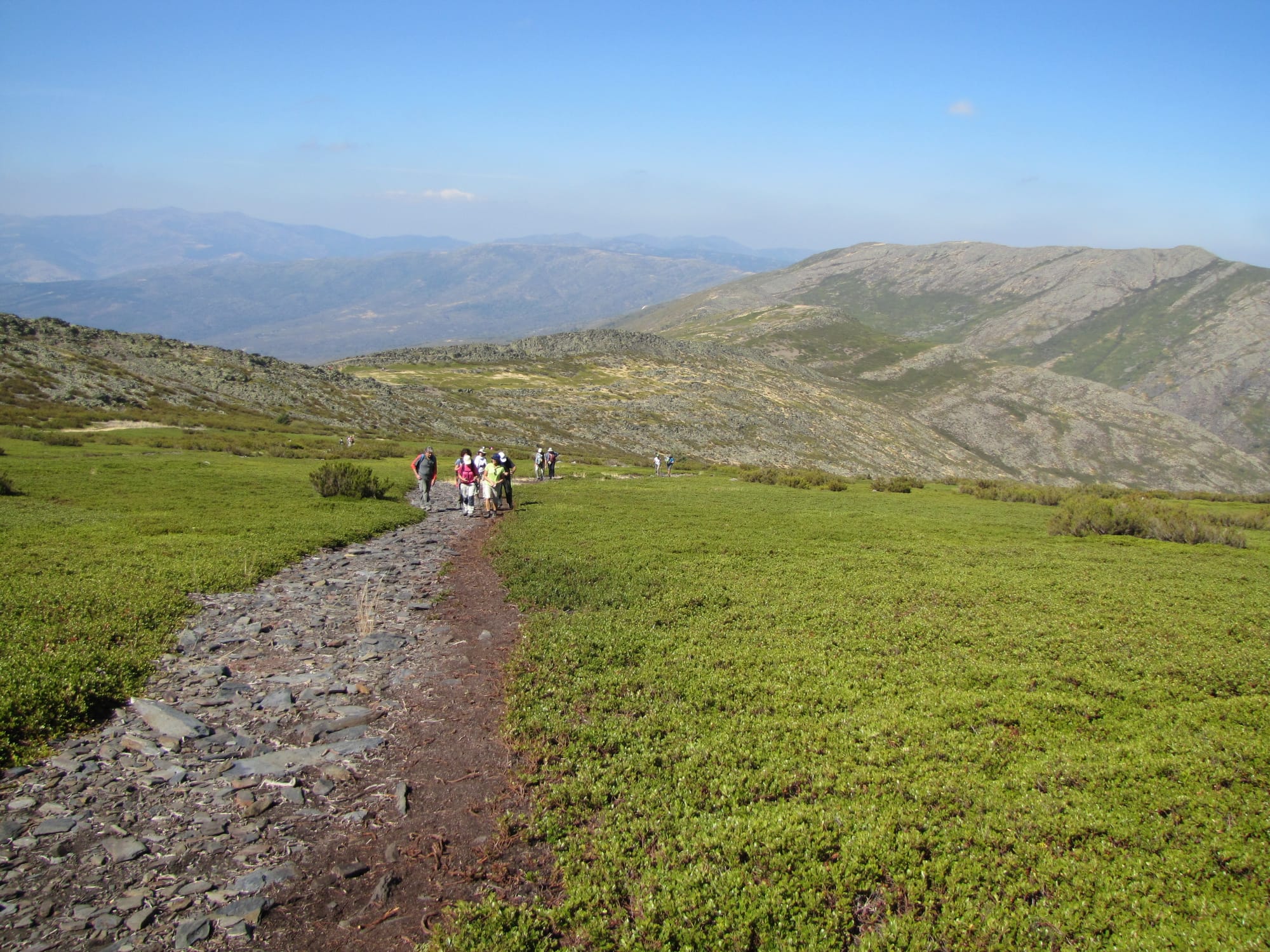 Visita cultural: Museo Nacional del Prado
