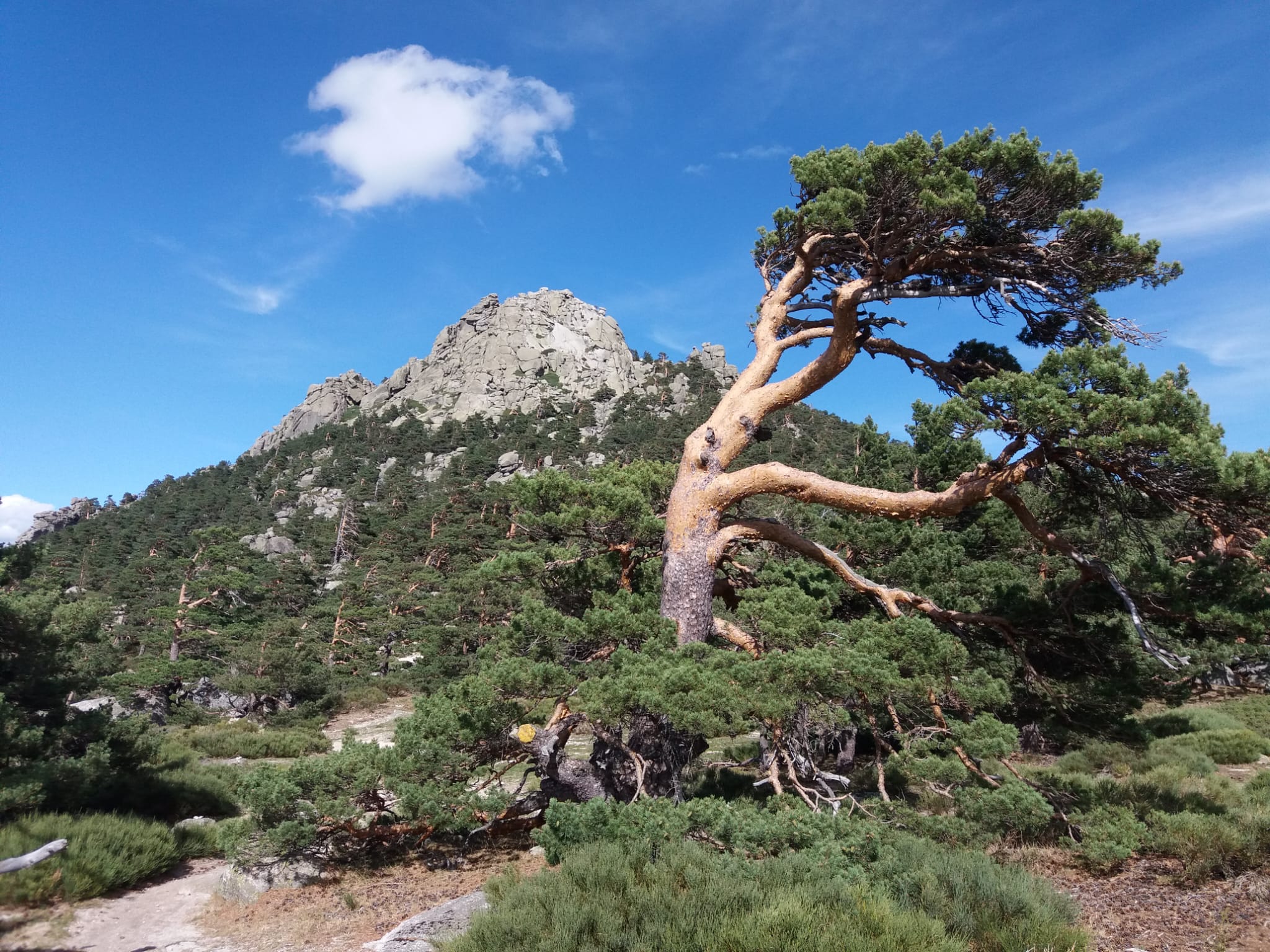 6 junio. descenso de navacerrda a cercedilla