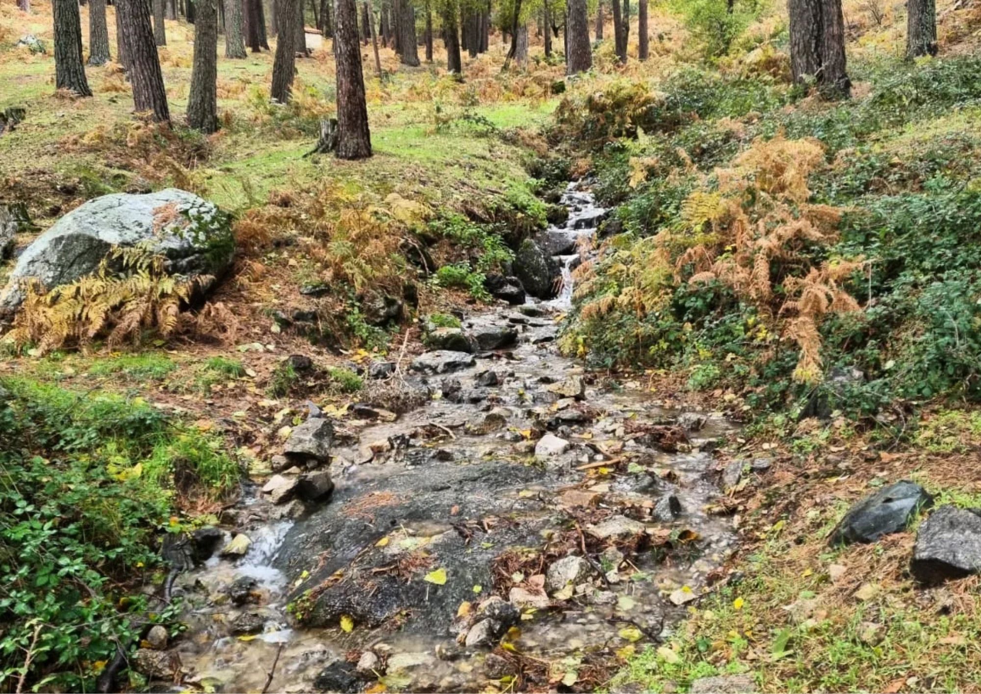 RACE Aire Libre: Senderos históricos de la Fuenfría y comida en la histórica Venta Casa Cirilo.