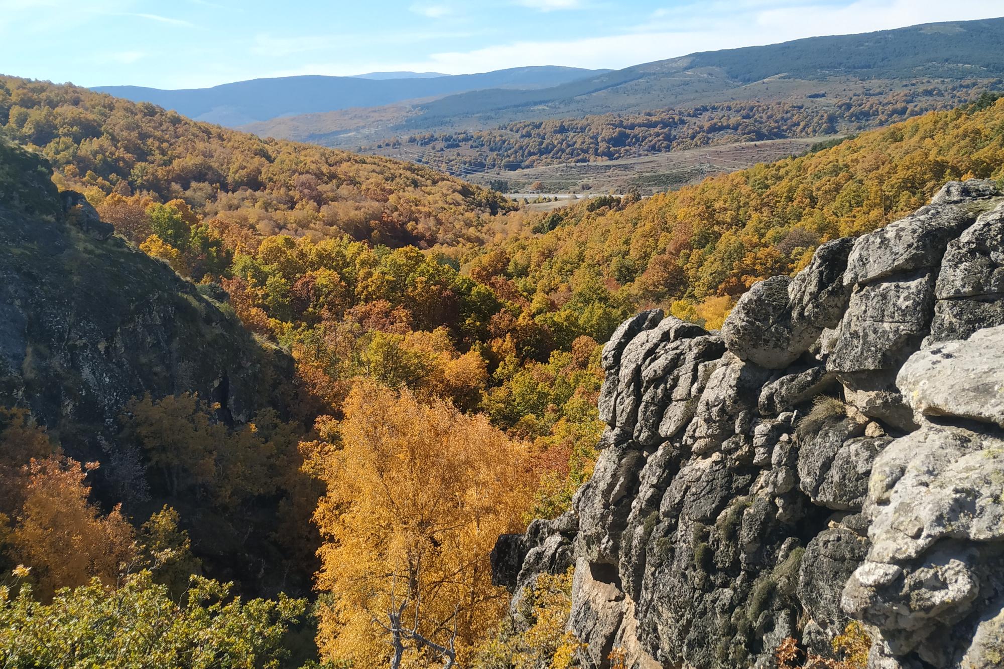RACE Aire Libre: Somosierra y el acebal de Robregordo.