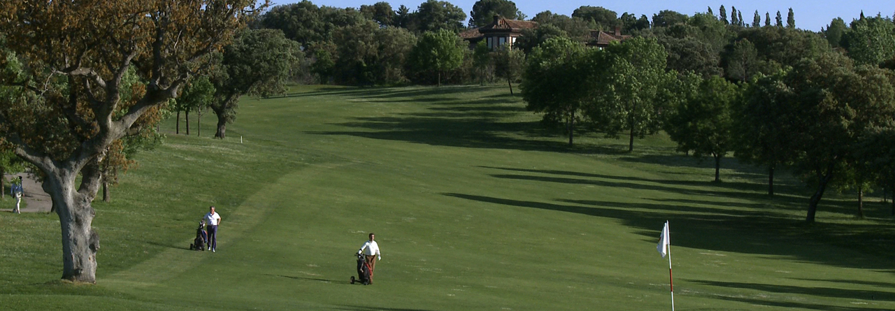 IMAGEN GOLF3