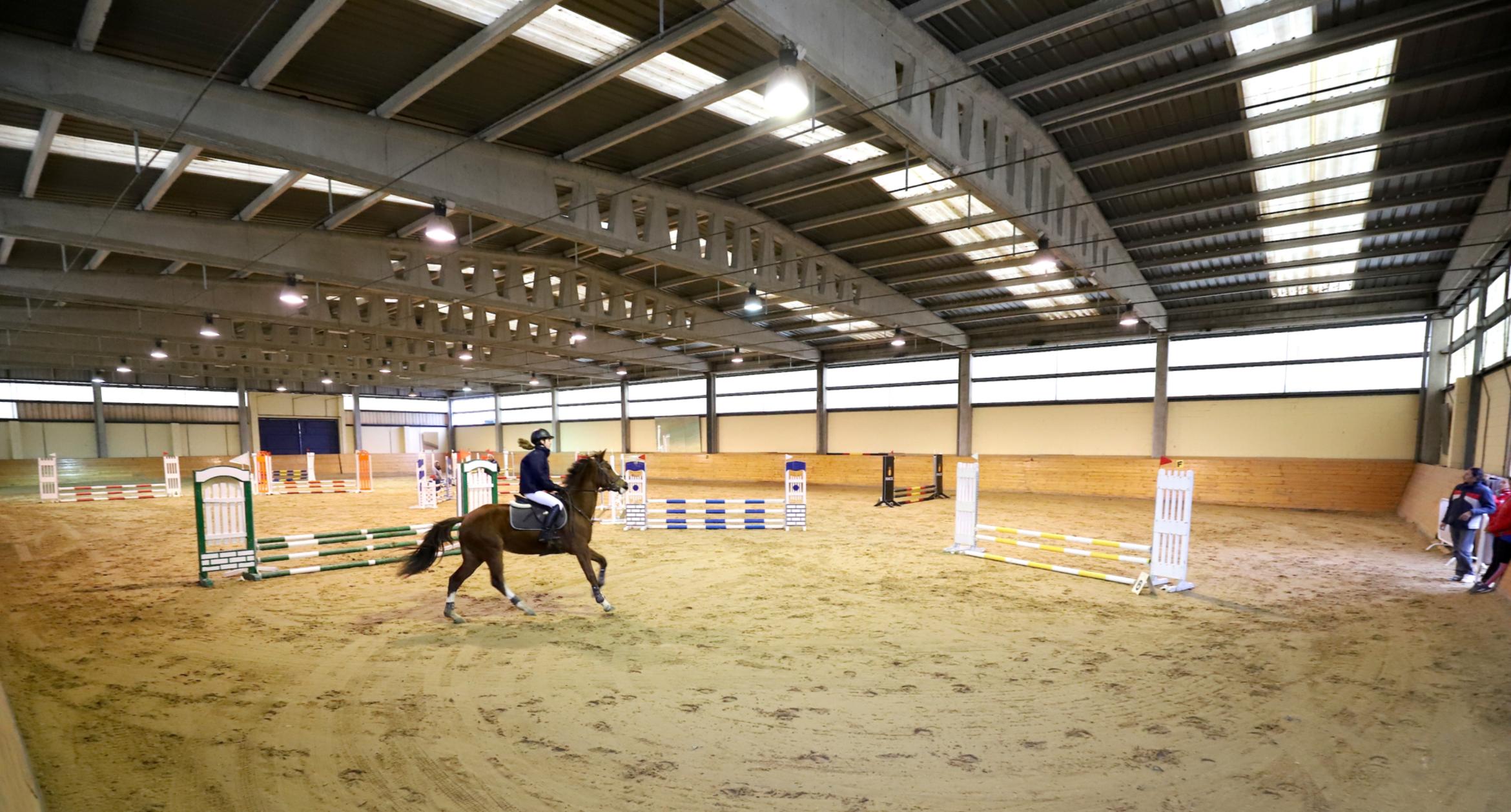 CAMPAMENTO HÍPICA NAVIDAD