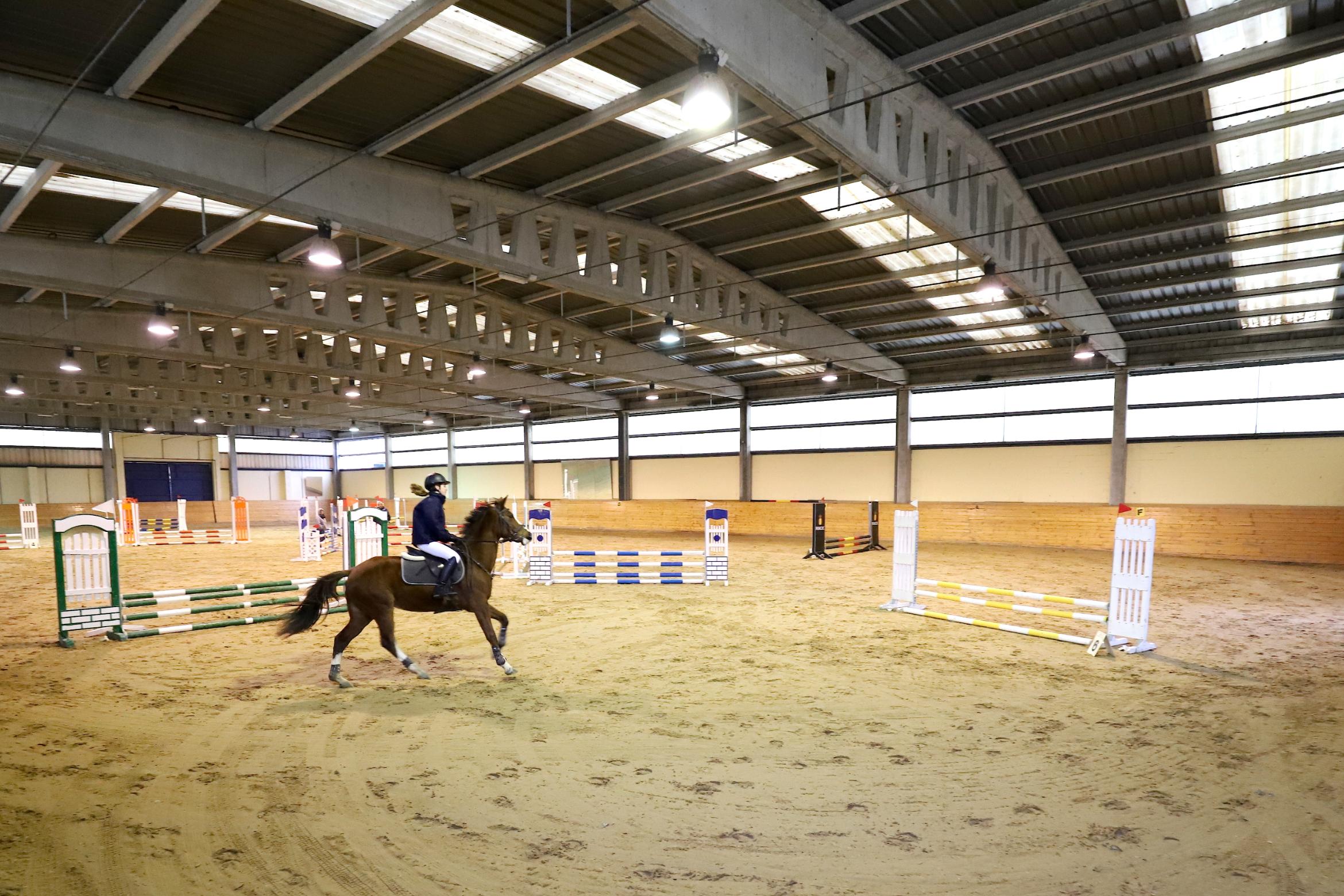 CAMPAMENTO HÍPICA NAVIDAD