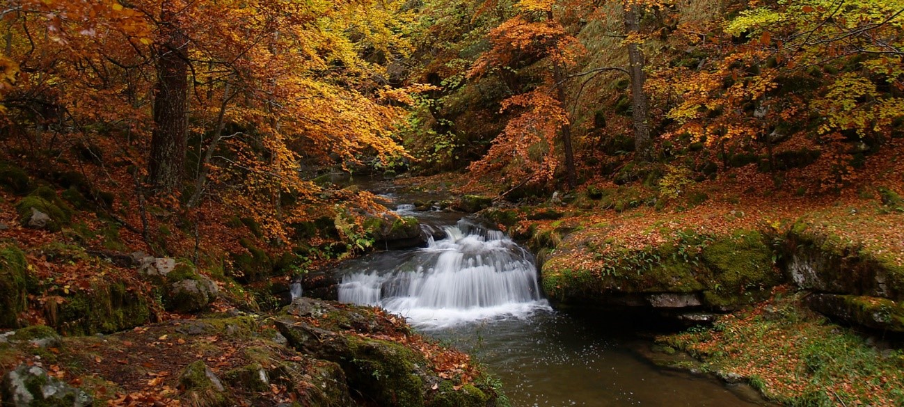 Visita cultural: Museo Nacional del Prado