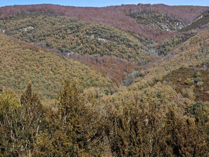 WhatsApp Image 2025-11-14 at 12.54.21