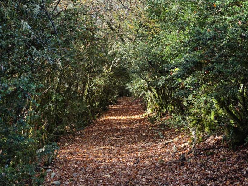 WhatsApp Image 2025-11-14 at 12.54.22